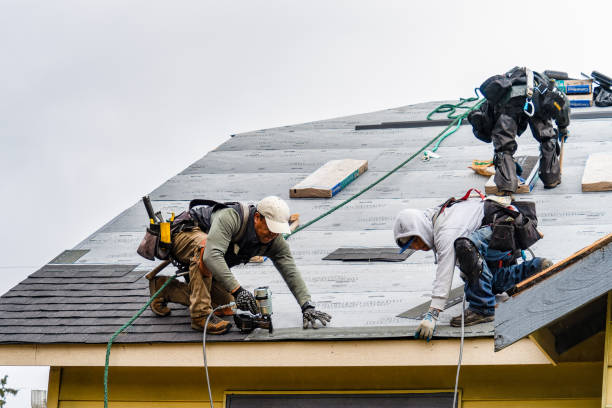 Professional Storm Damage Roof Repair technician working in Sylvia, KS